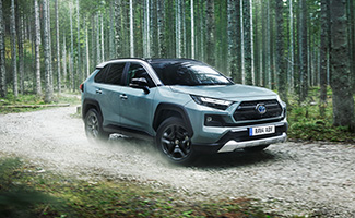 Toyota RAV4 jedzie po ulowej drodze przez brzozowy las